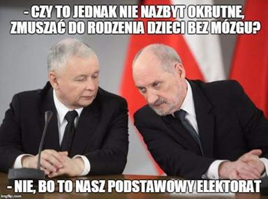 Elektorat pis - Memy z Sieci - mieszne, mniej mieszne a rwnie czasem  masakryczne...
