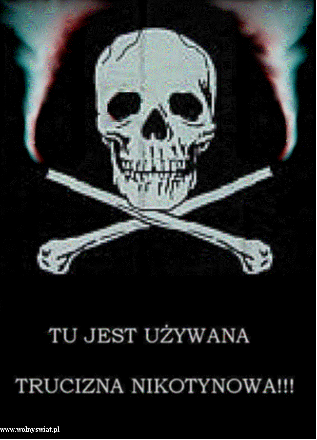 Pole tekstowe:  
                                                                                                                                 www.wolnyswiat.pl
