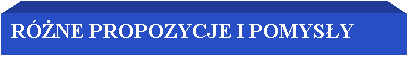 Pole tekstowe: RӯNE PROPOZYCJE I POMYS�Y 
