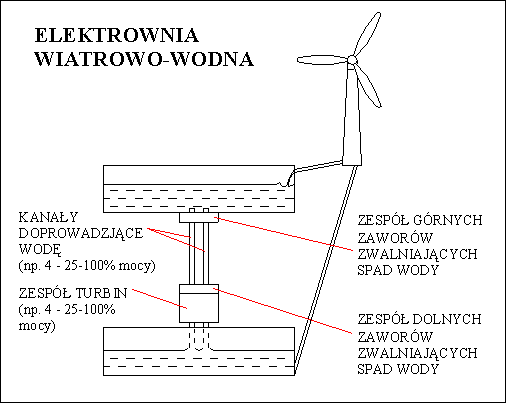 Pole tekstowe:  