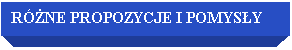 Pole tekstowe: RӯNE PROPOZYCJE I POMYSY 