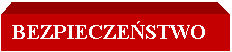 Pole tekstowe: BEZPIECZESTWO