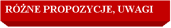 Pole tekstowe: RӯNE PROPOZYCJE, UWAGI