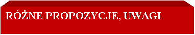 Pole tekstowe: RӯNE PROPOZYCJE, UWAGI