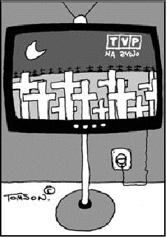 Pole tekstowe:  